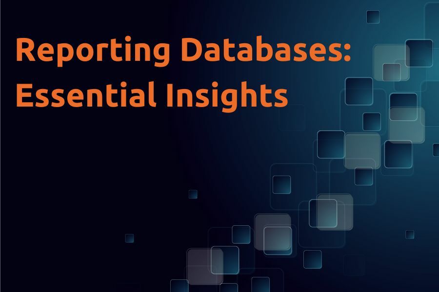 Reporting Databases: Essential Insights